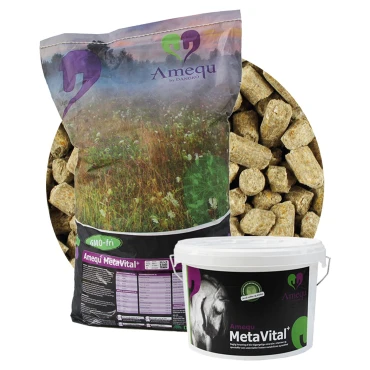 Amequ MetaVital+