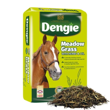 Dengie Meadow Grass