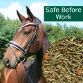 HorsePro Safe Before Work