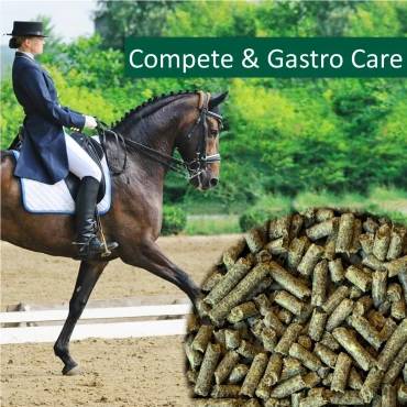 Horsepro Compete & Gastro Care