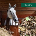 HorsePro Senior